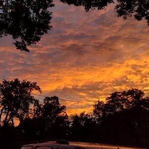 Meet your Posher, Mia